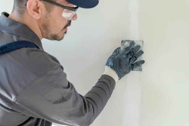 Best Drywall Sanding and Smoothing  in Bainbridge, PA